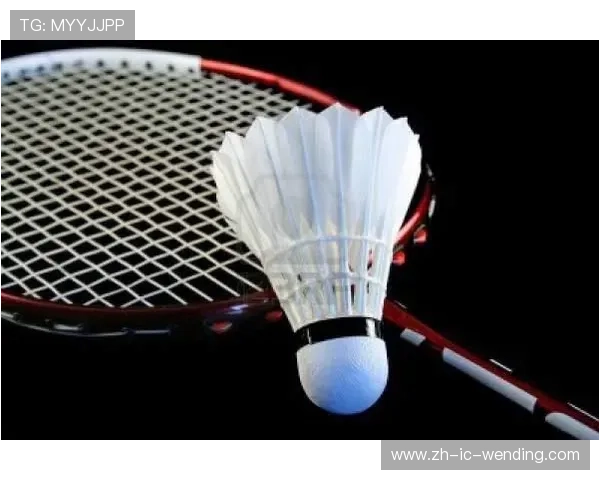 羽毛球装备英文